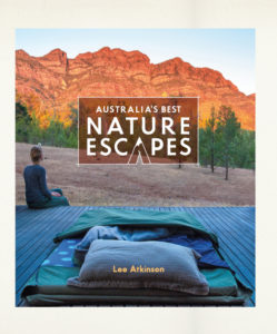 in bookstores now